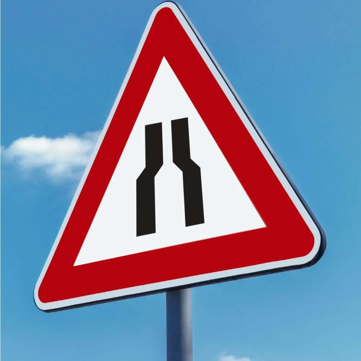 Road Narrows On Both Side Ahead