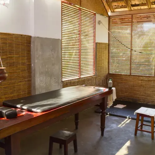 Operational Ayurveda Centre for Sale